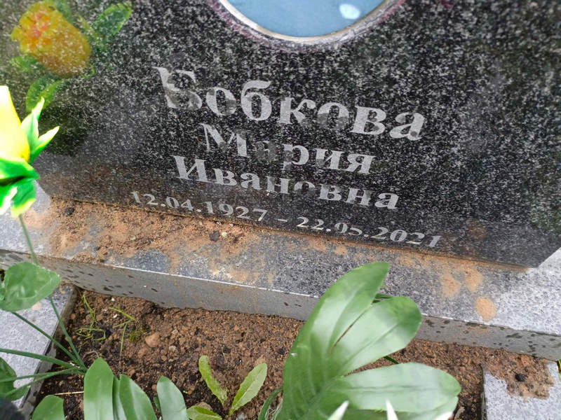 Бобкова