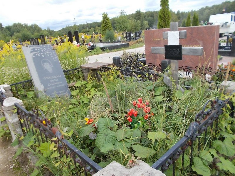 Романов Александр Иванович