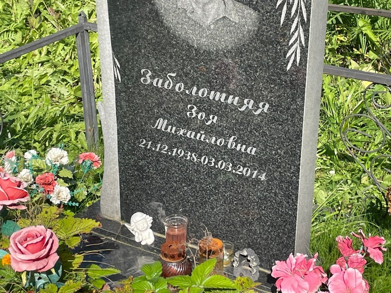 Заболотняя