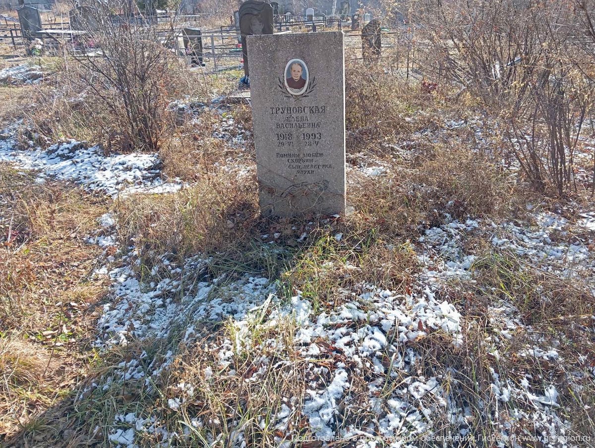 Труновская Елена Васильевна
