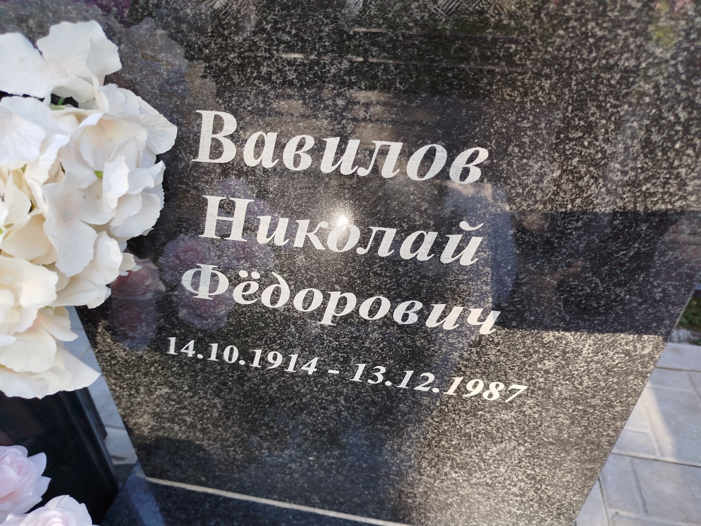 Вавилов