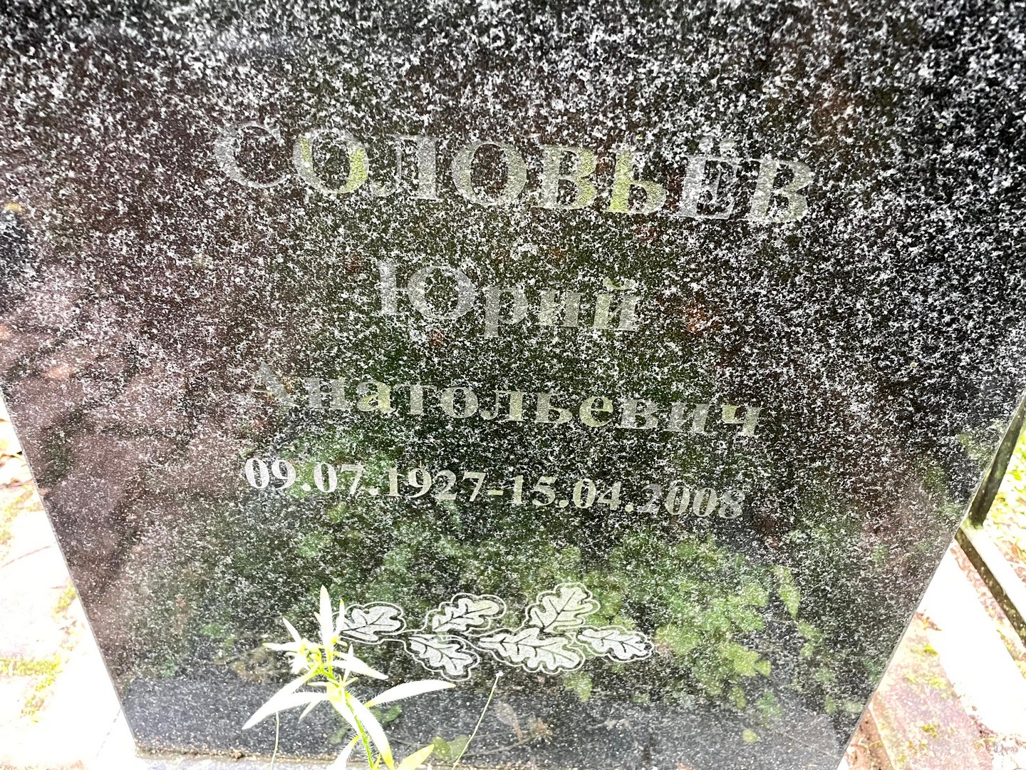 Соловьев