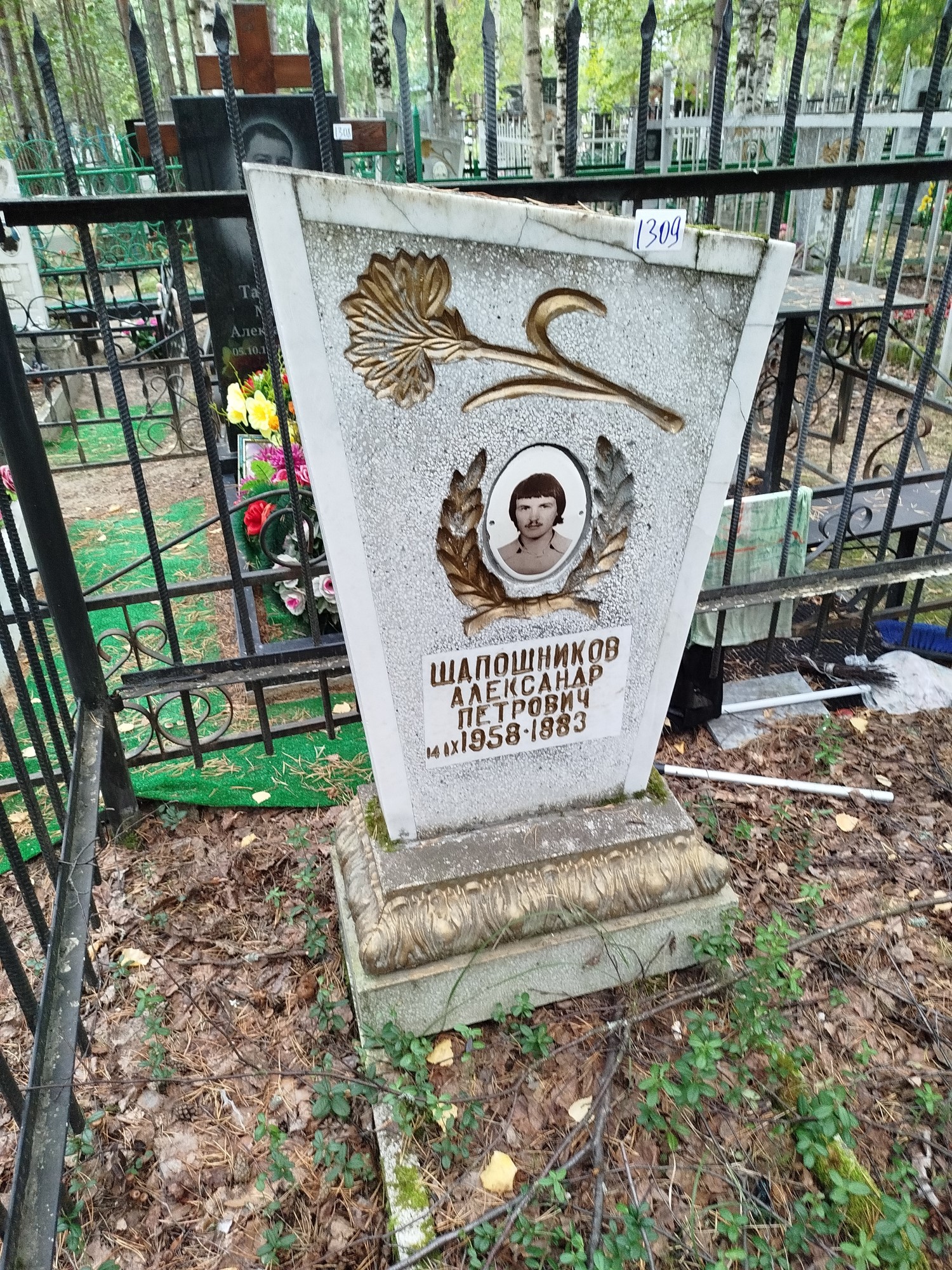 Шапошников Александр Петрович