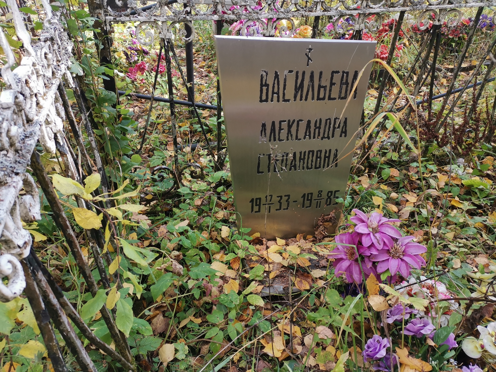 Васильева Александра Степановна