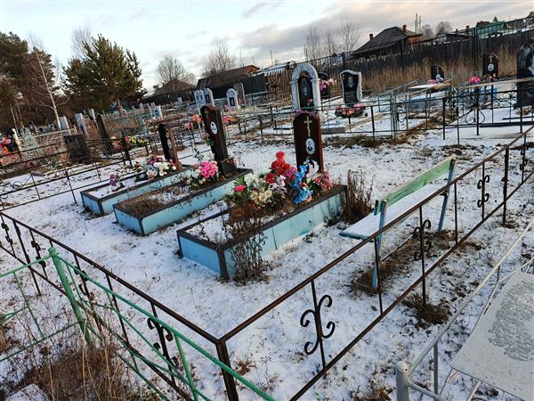 Каменек Александр Васильевич