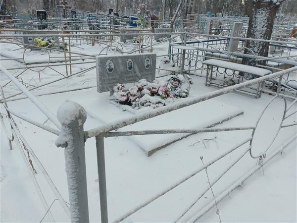 Большаков Владимир Васильевич