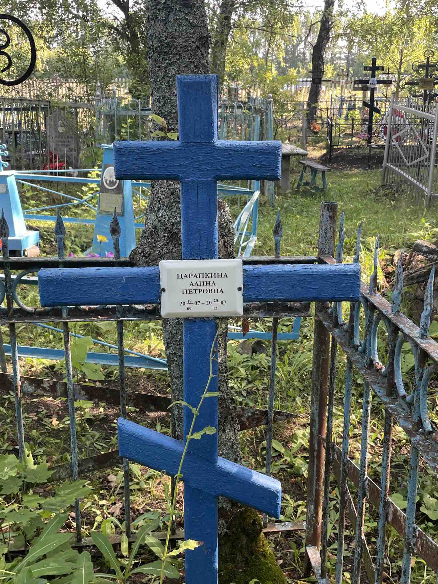 Царапкина Алина Петровна