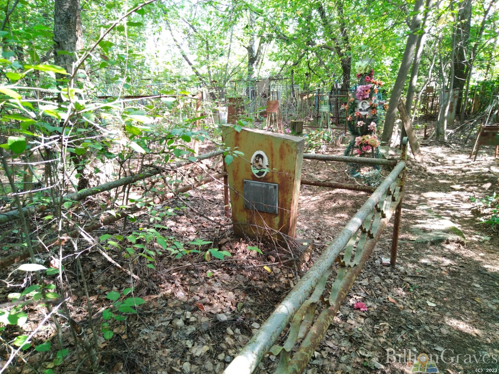 Коснырева Анна Федоровна