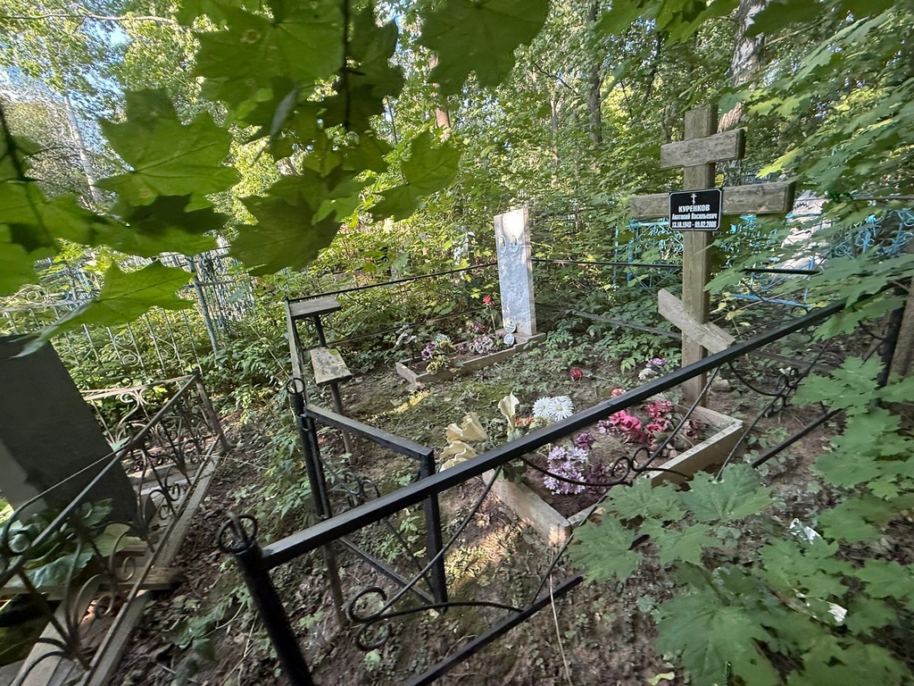 Куренков Анатолий Васильевич