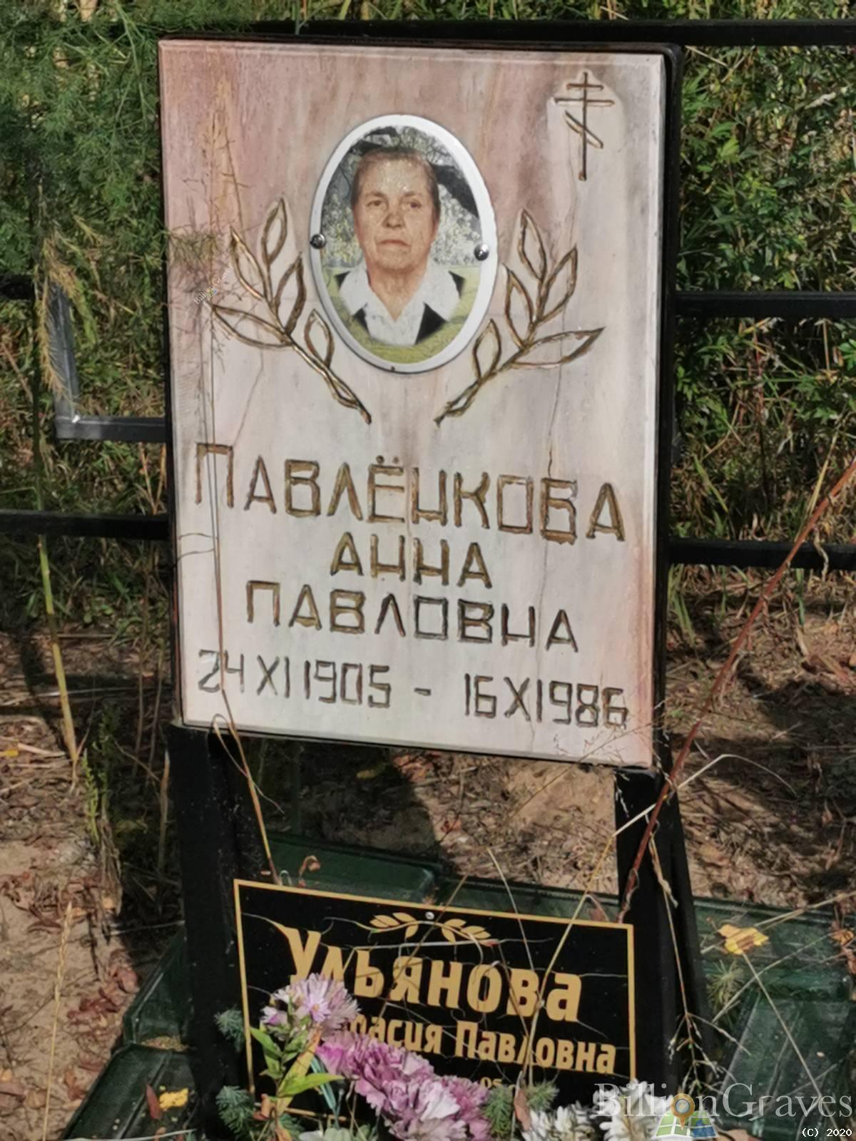 Павлёнкова Анна Павловна