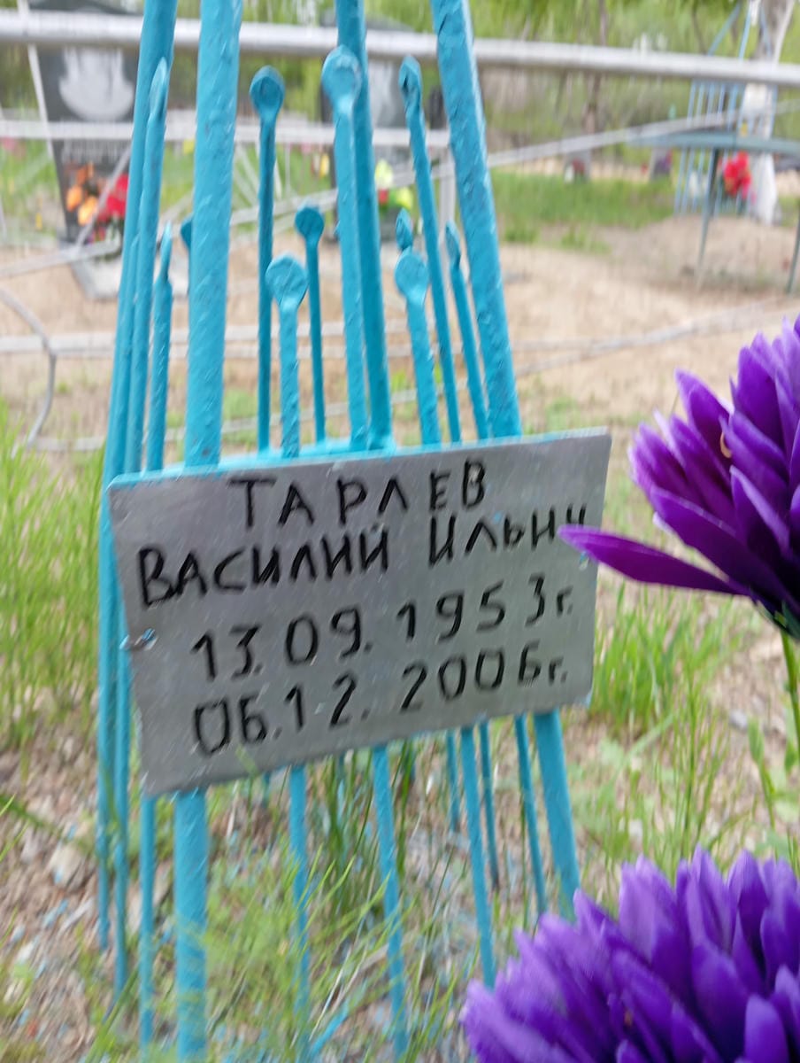 Тарлев Василий Ильич