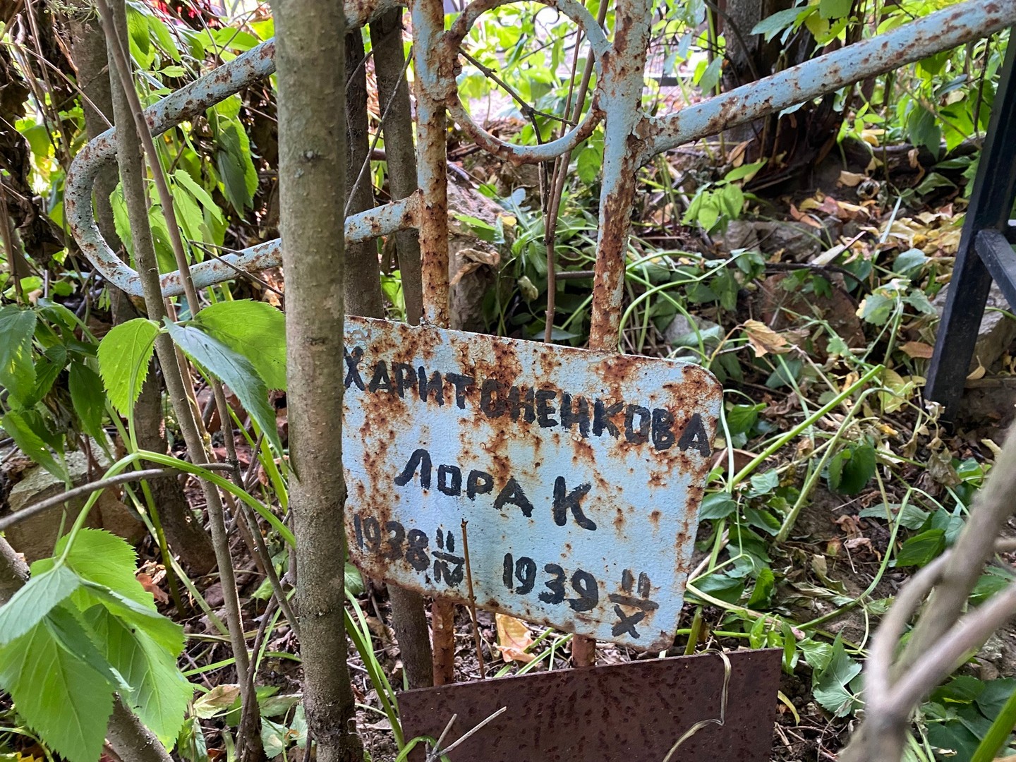 Лора Харитоненкова К