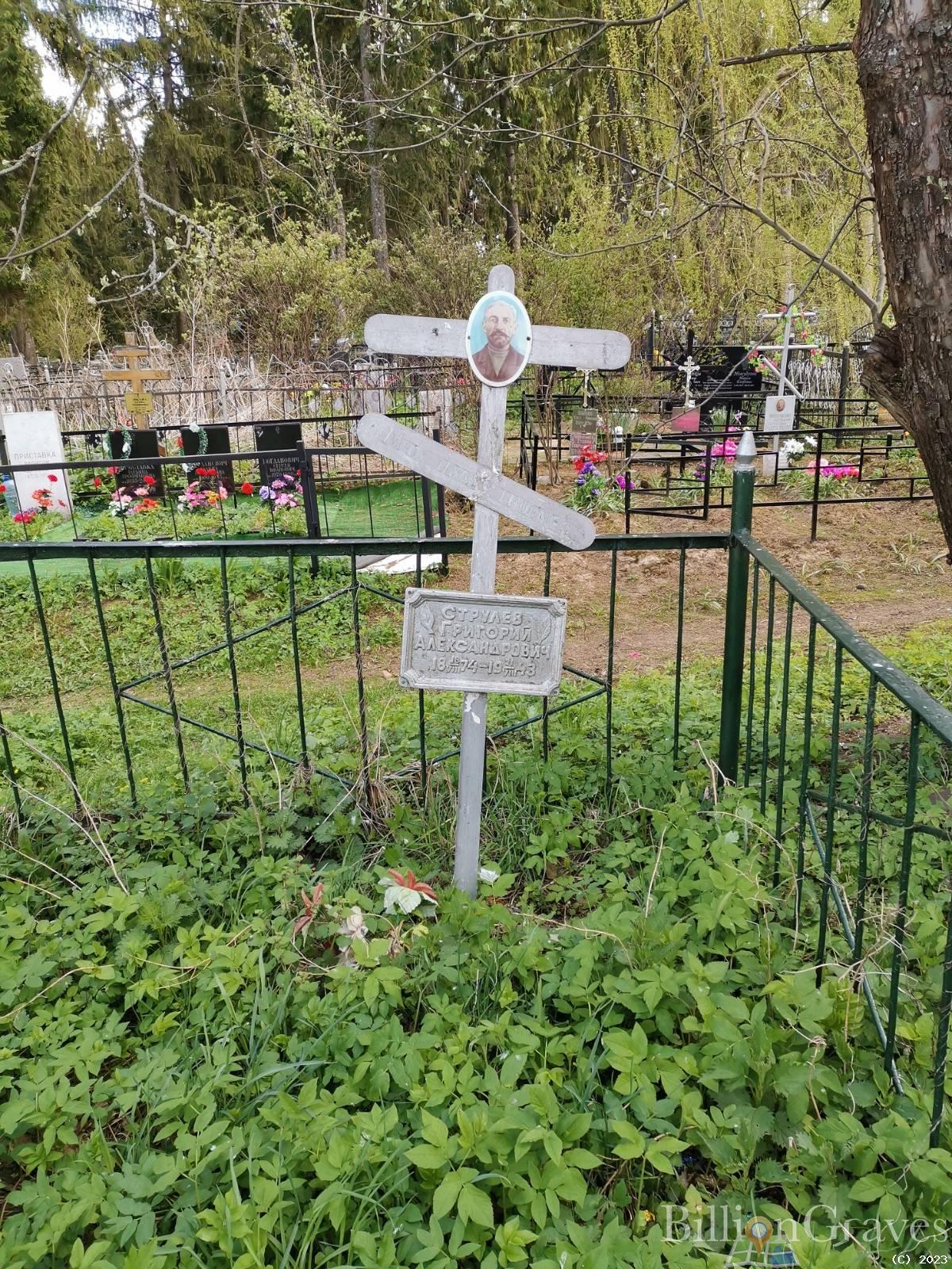 Струлев Григорий Александрович