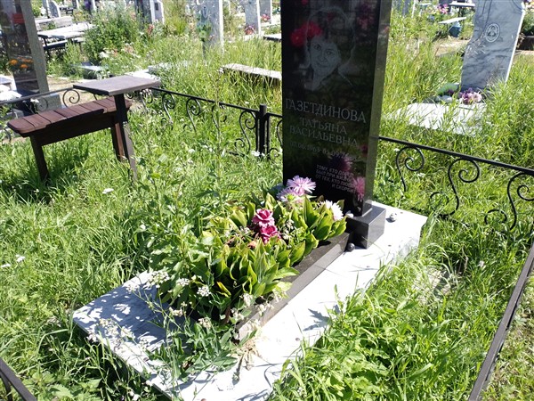Газетдинова Татьяна Васильевна