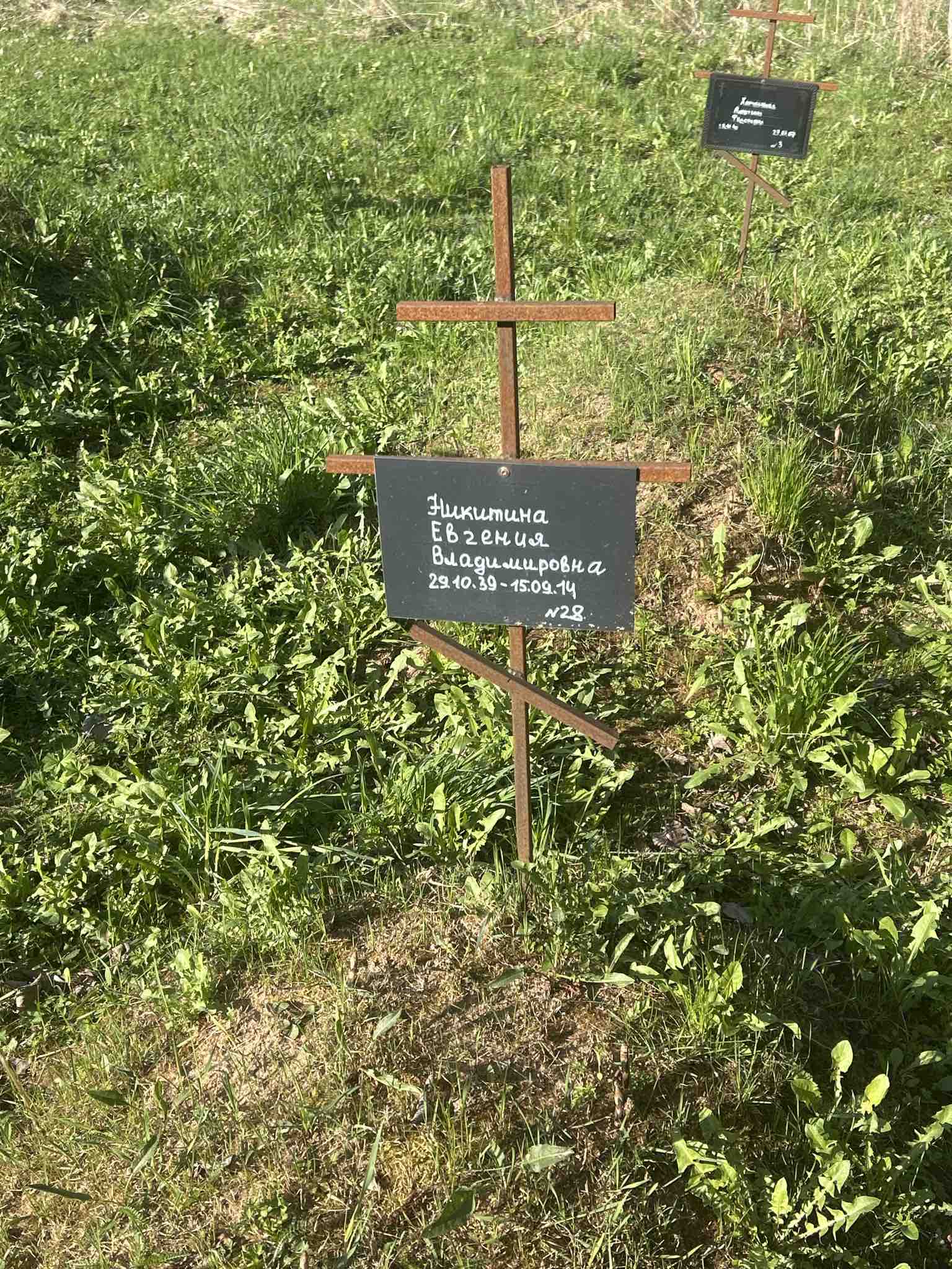 Никитина Евгения Владимировна