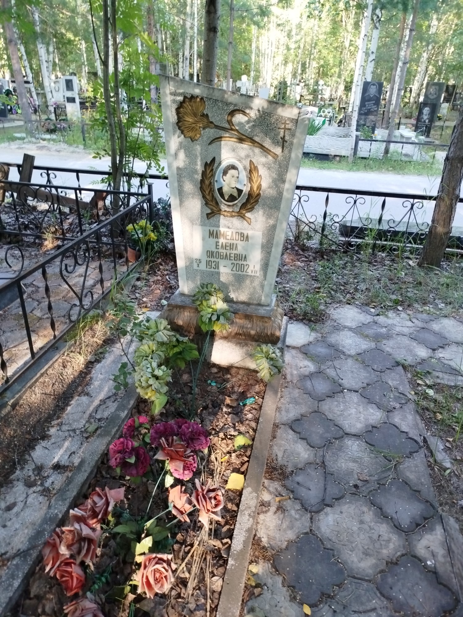 Мамедова Елена Яковлевна
