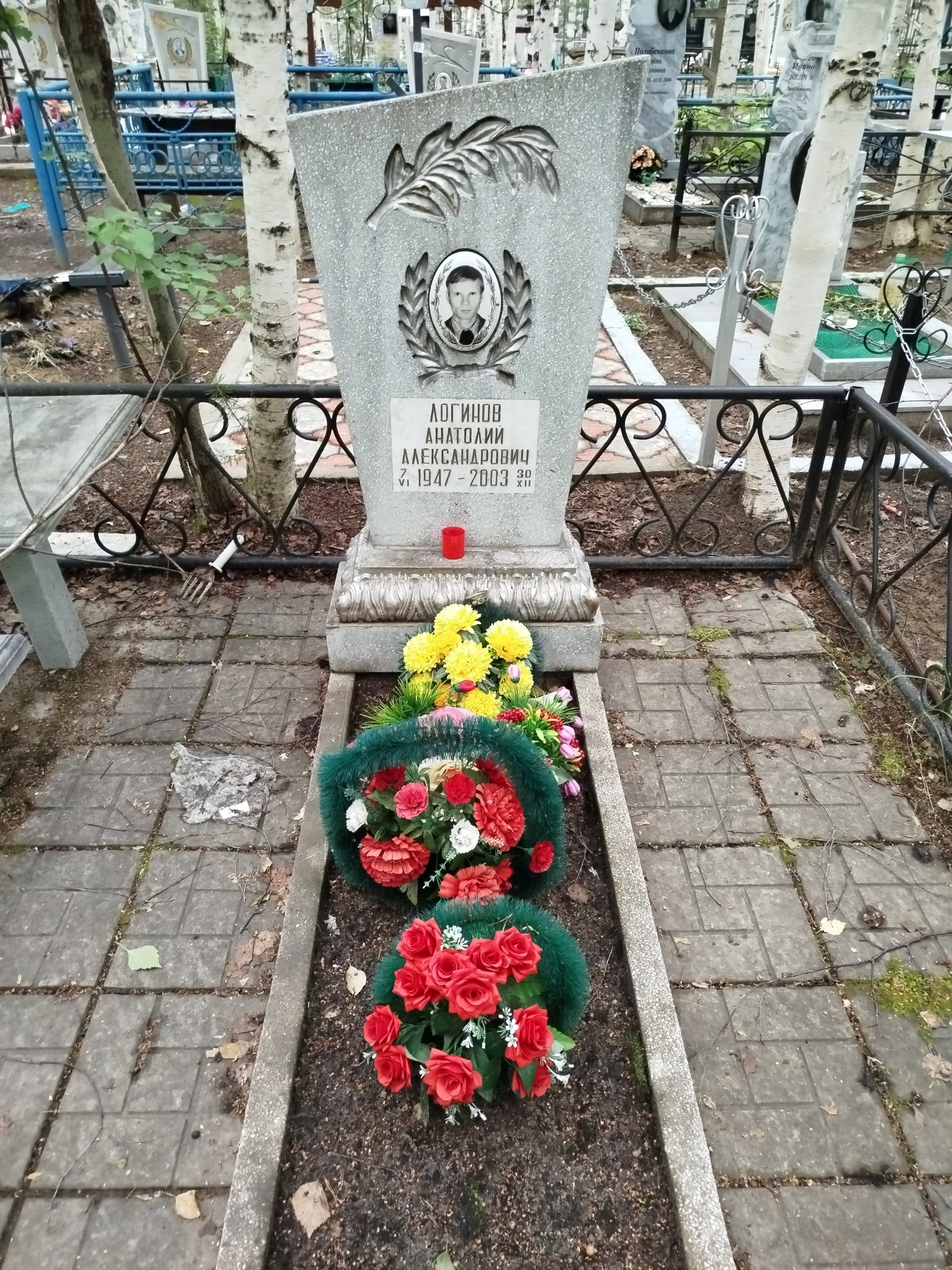 Логинов Анатолий Александрович
