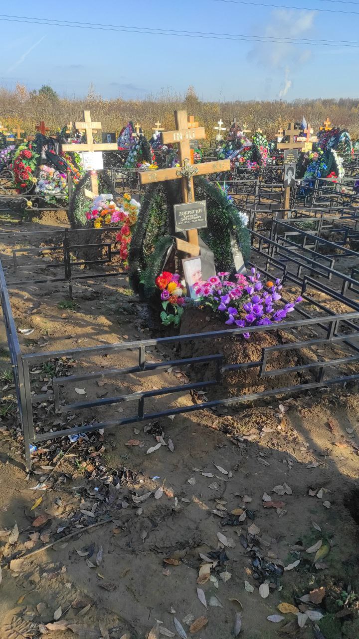 Добрягин