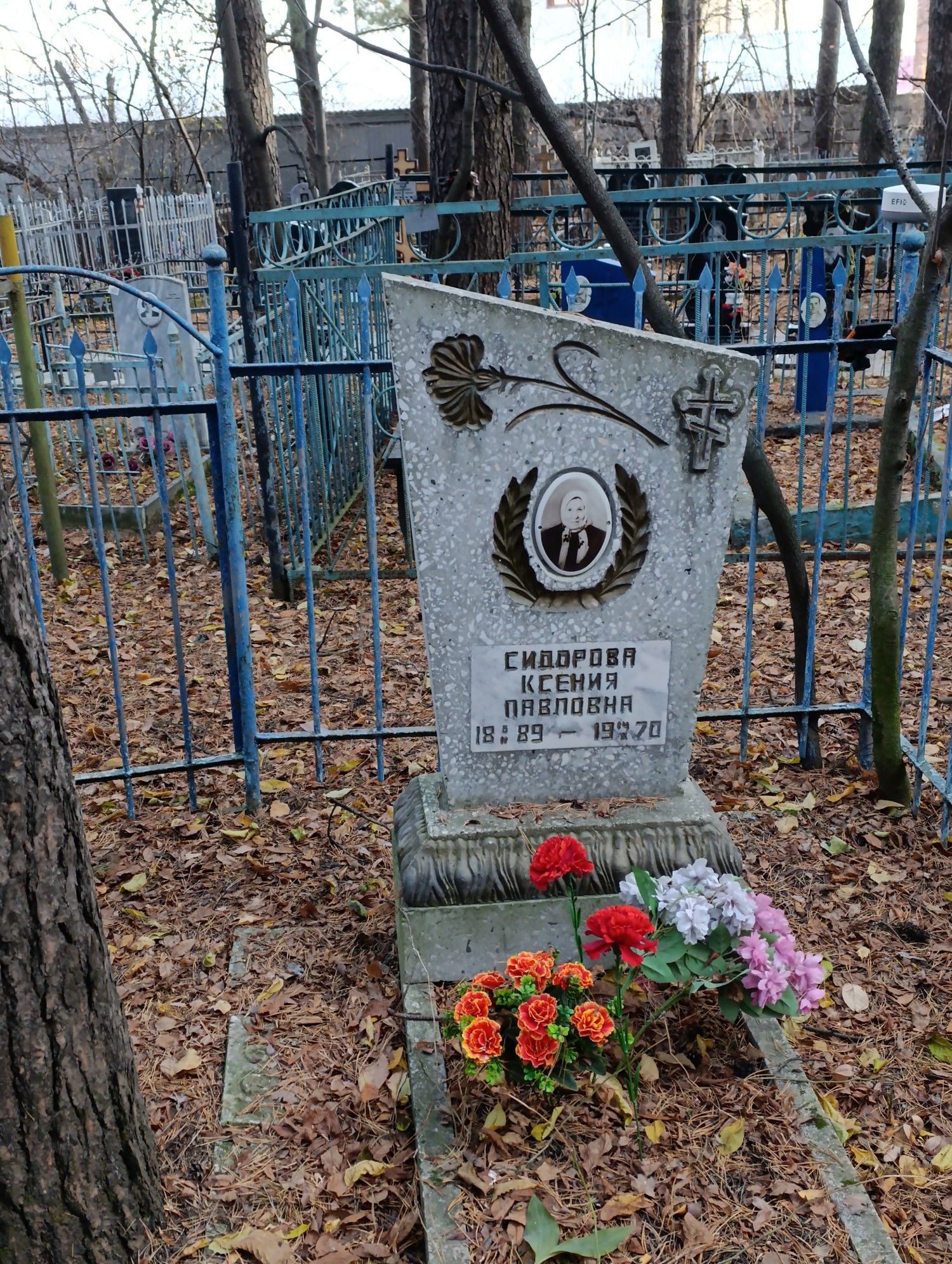 Сидорова Ксения Павловна