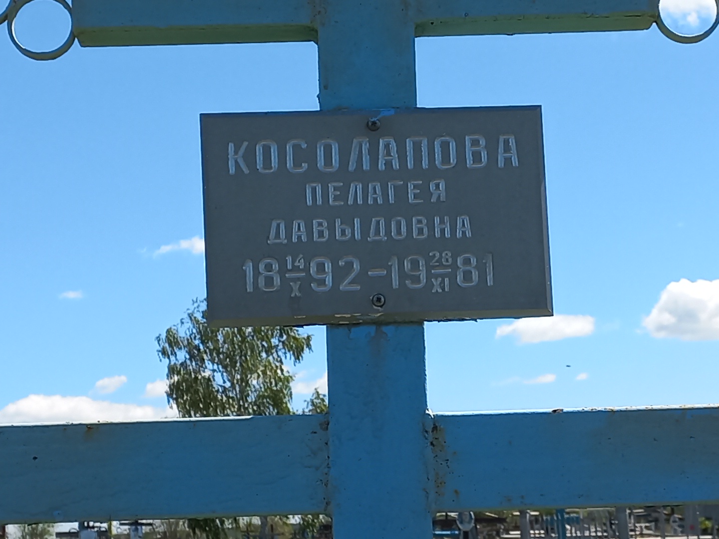 Косолапова Пелагея Давыдовна