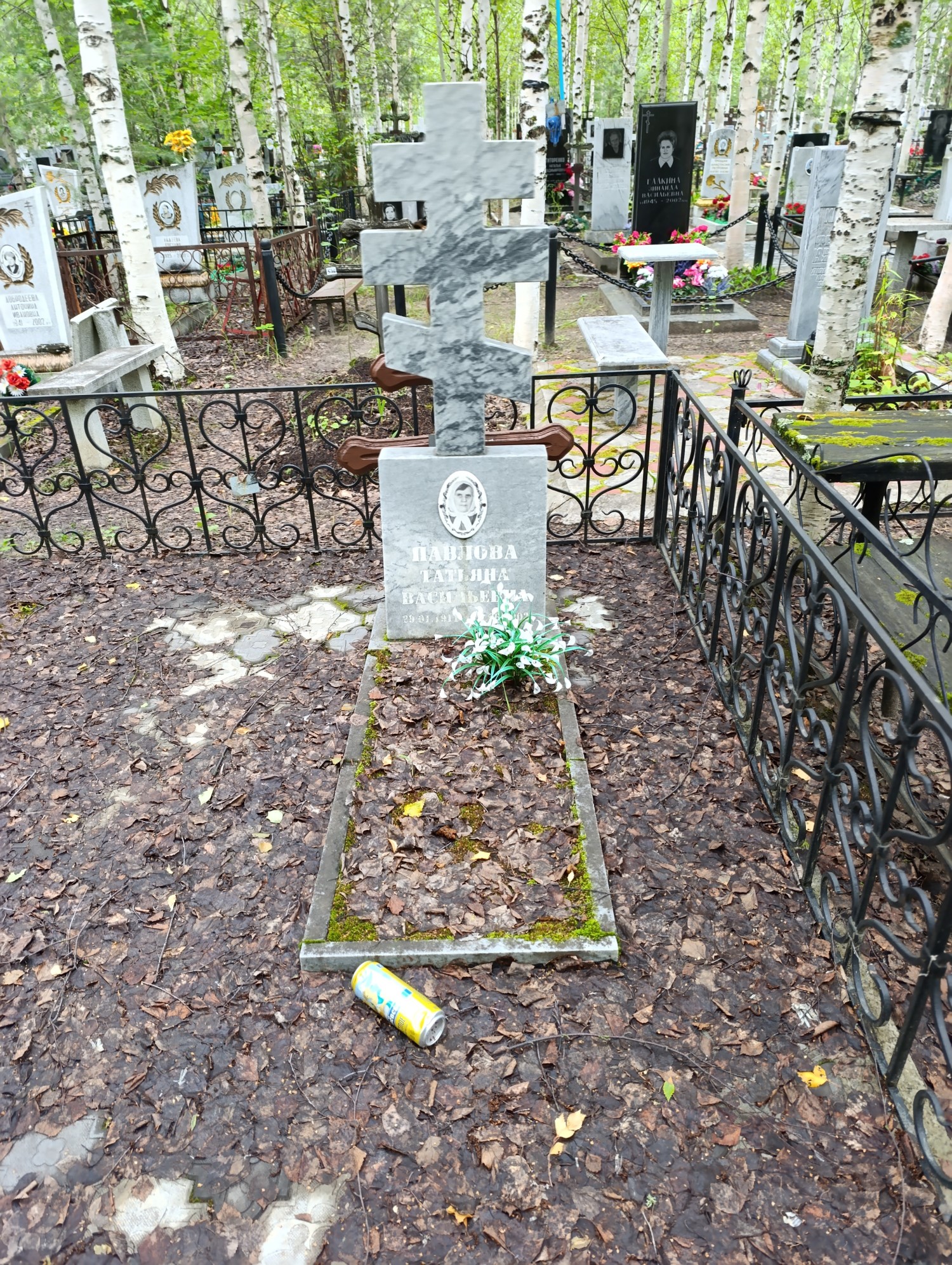 Павлова Татьяна Васильевна