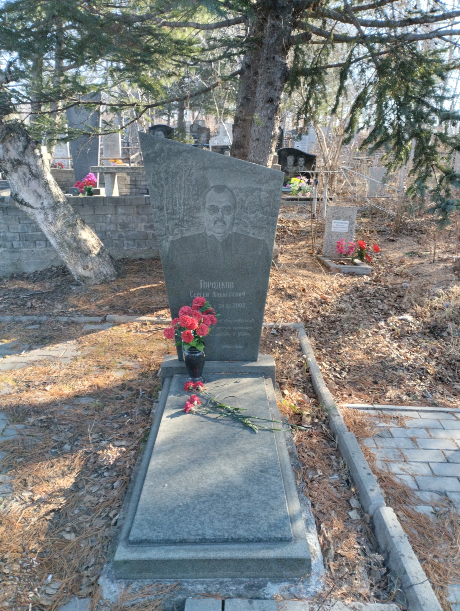 Городков Сергей Алексеевич