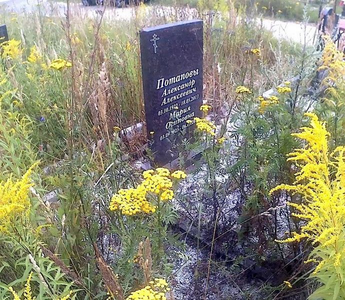Потапов Александр Алексеевич