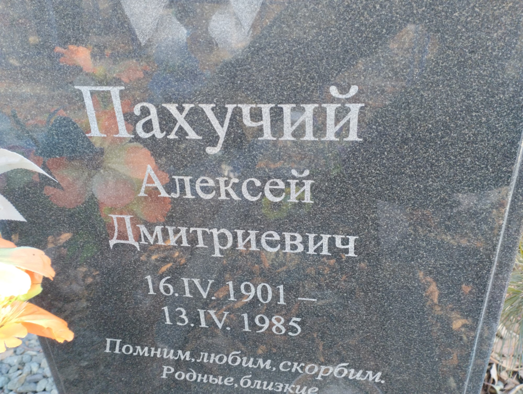 Пахучий Алексей Дмитриевич