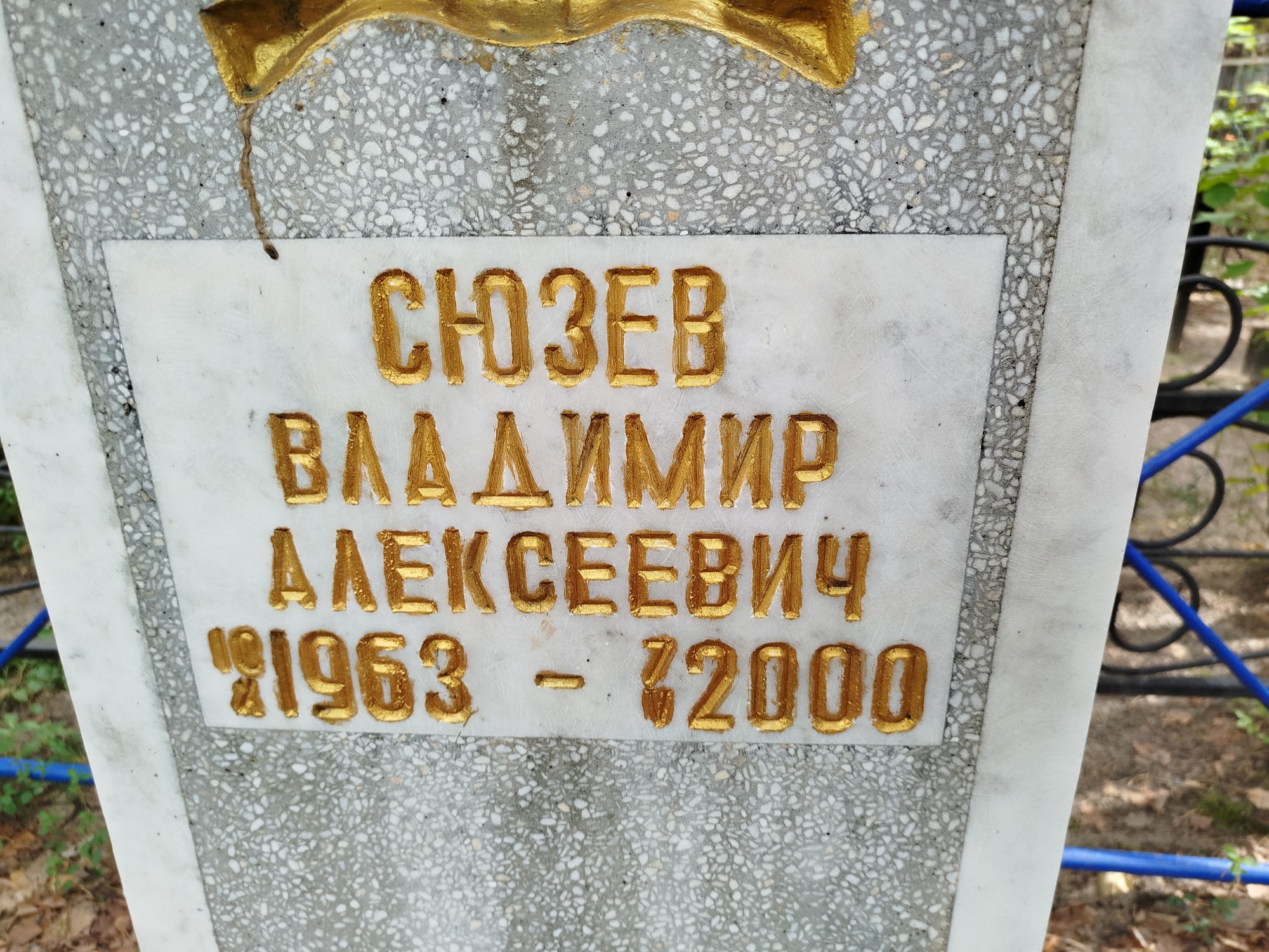 Сюзев Владимир Алексеевич