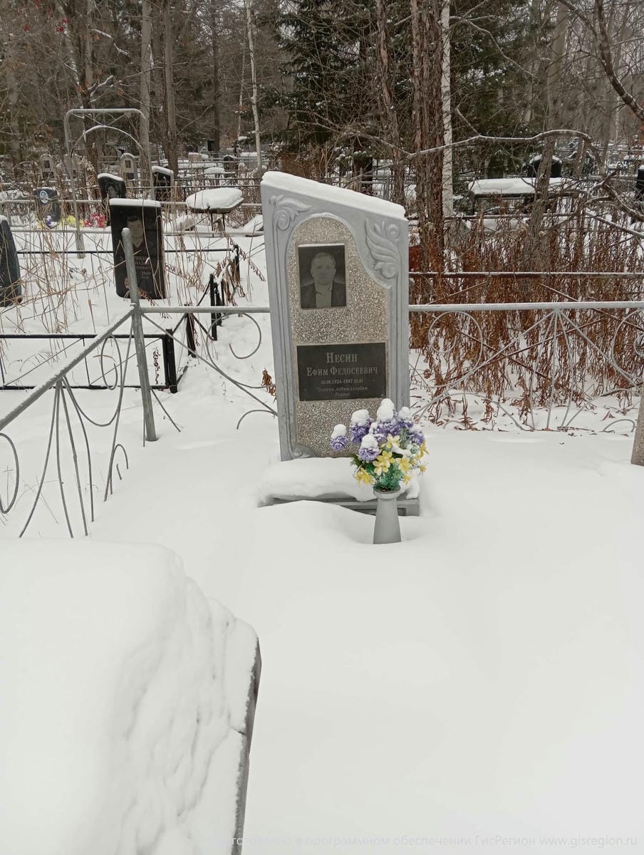Несин Ефим Федосеевич