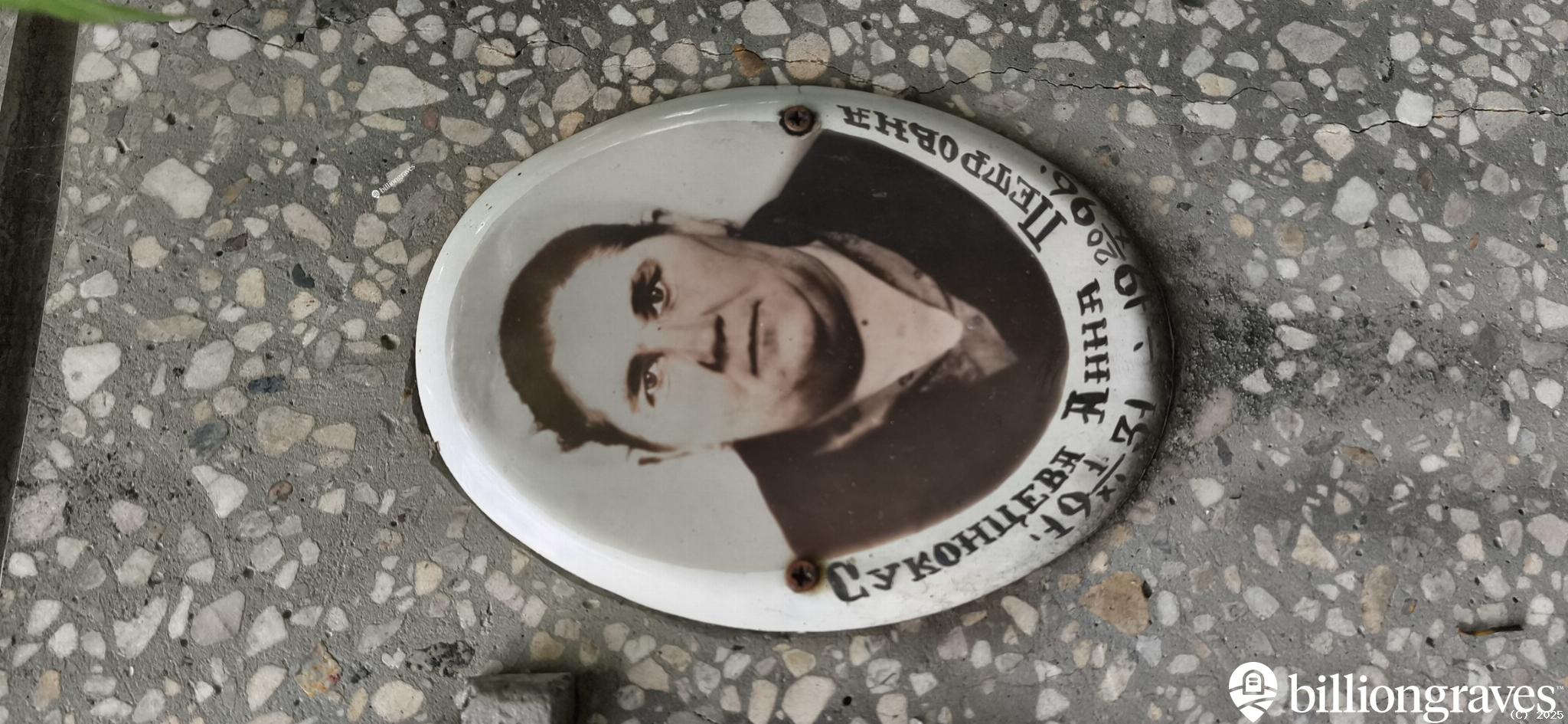 Суконцева Анна Петровна