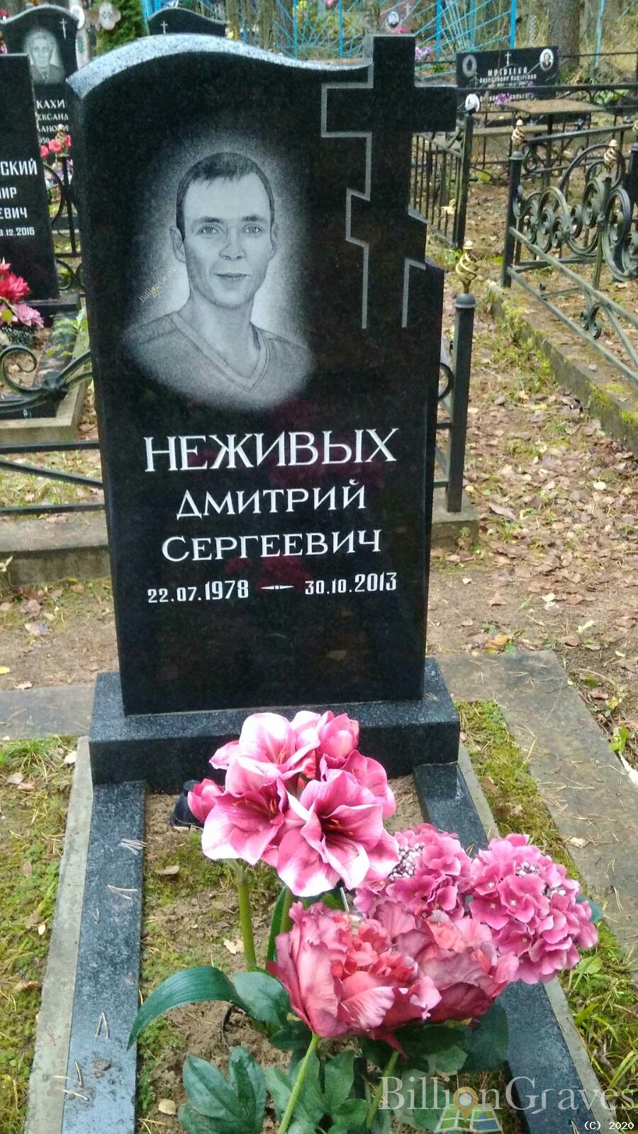 Неживых Дмитрий Сергеевич