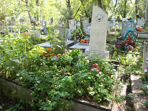 Софин Александр Иванович