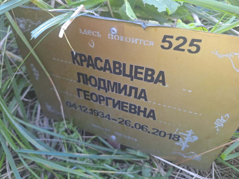 Красавцева