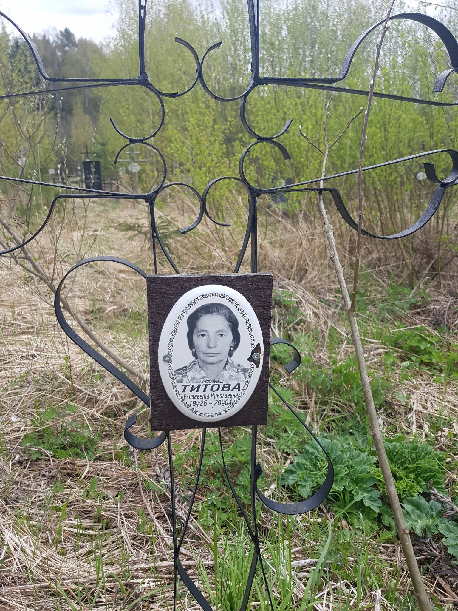 Титова Елизавета Николаевна