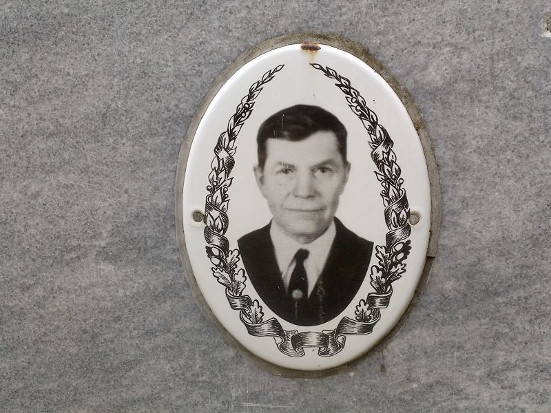 Волосников