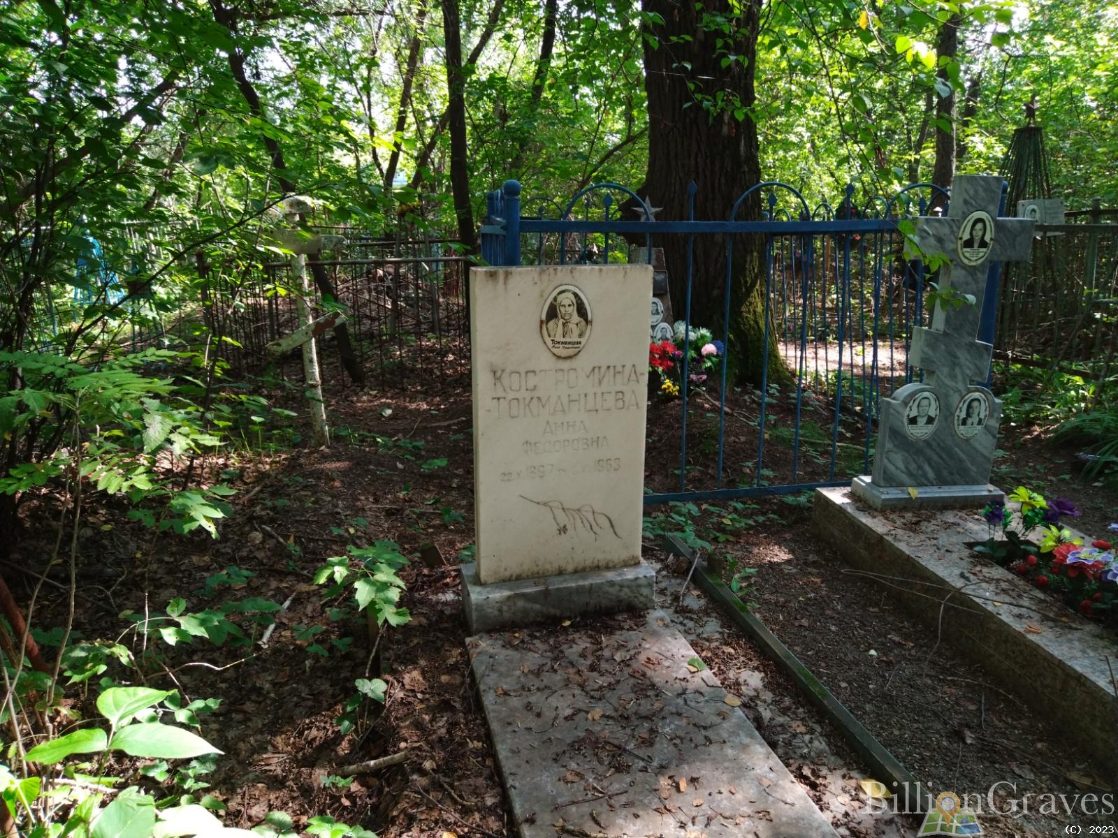 Костромина - Токманцева Анна Федоровна