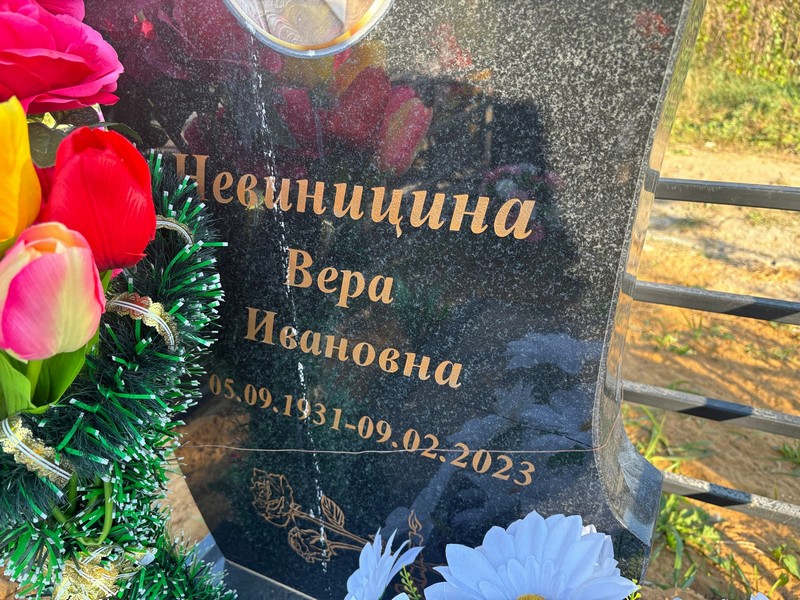 Невиницина