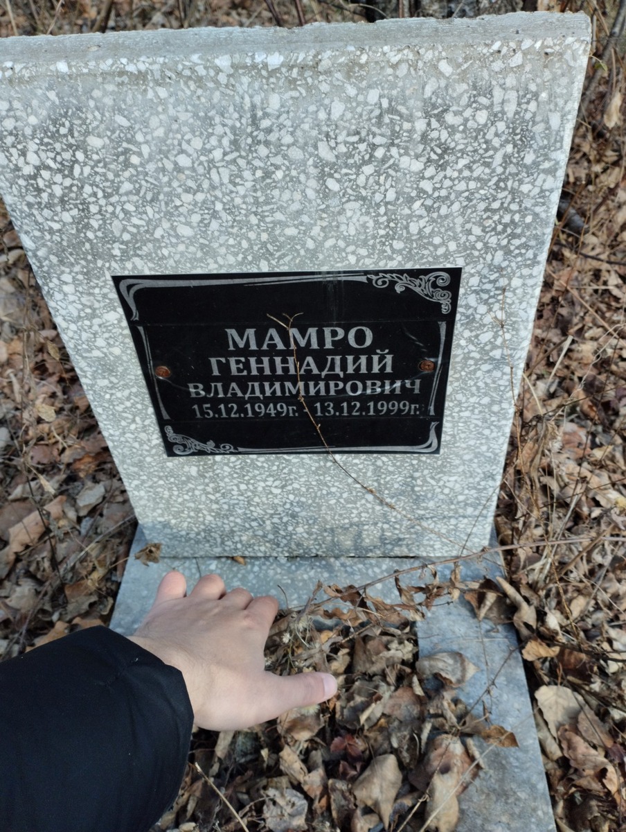 Мамро Геннадий Владимирович
