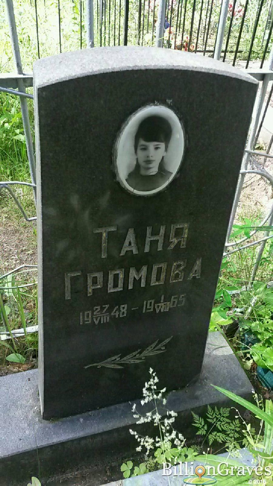 громов александр никифорович