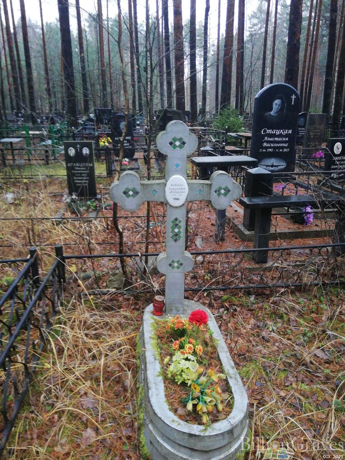 Стацкая Анастасия Васильевна