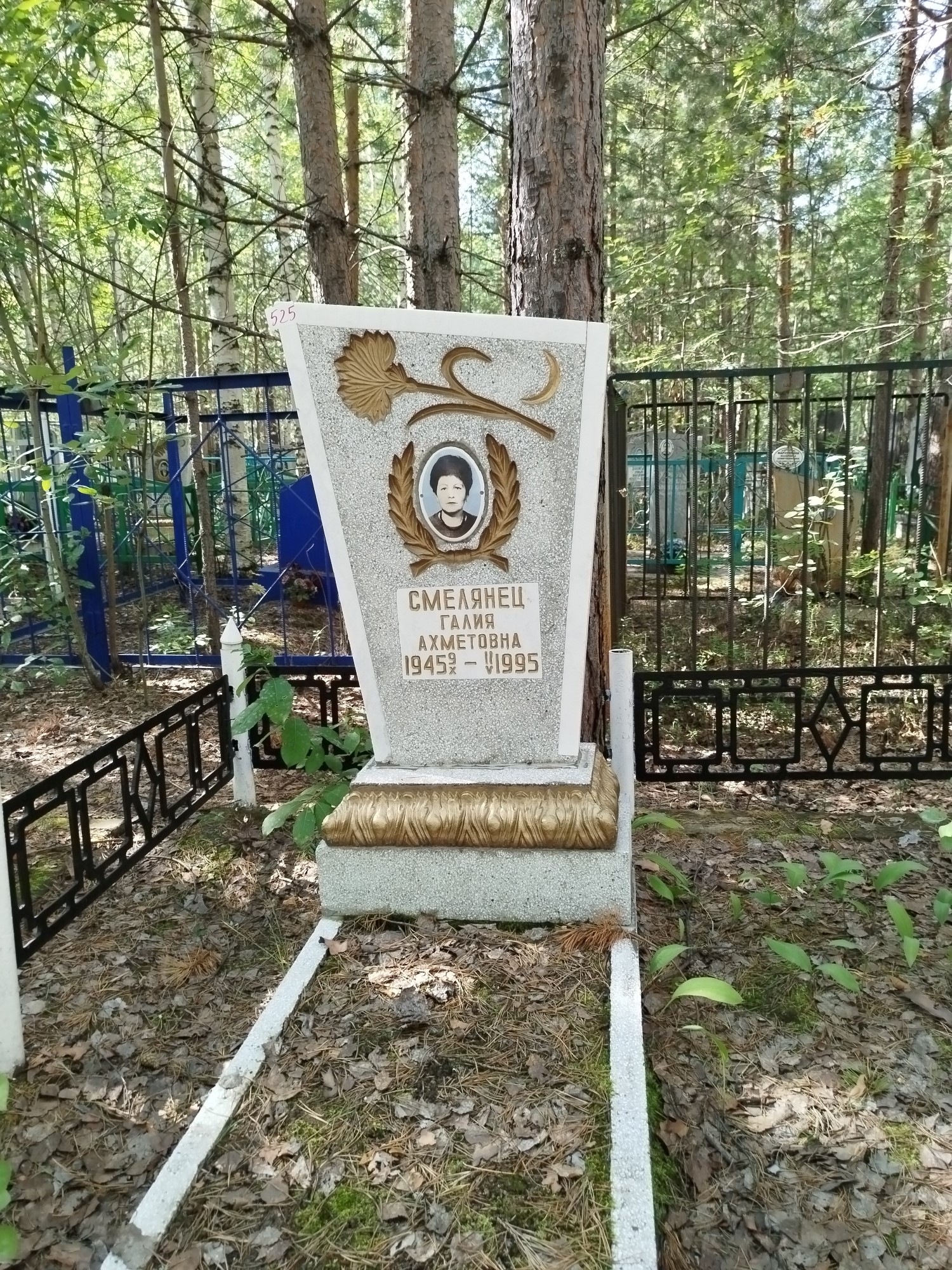 Смелянец Галия Ахметовна