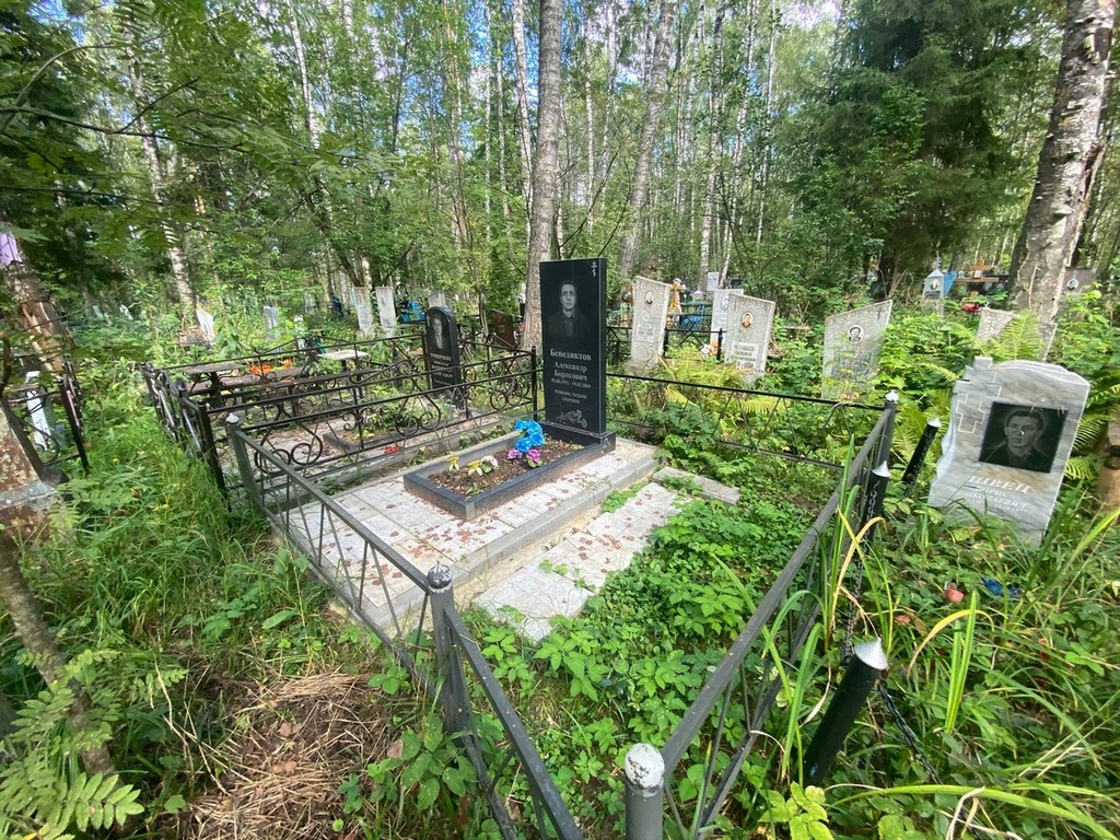 Бенедиктов Александр Борисович