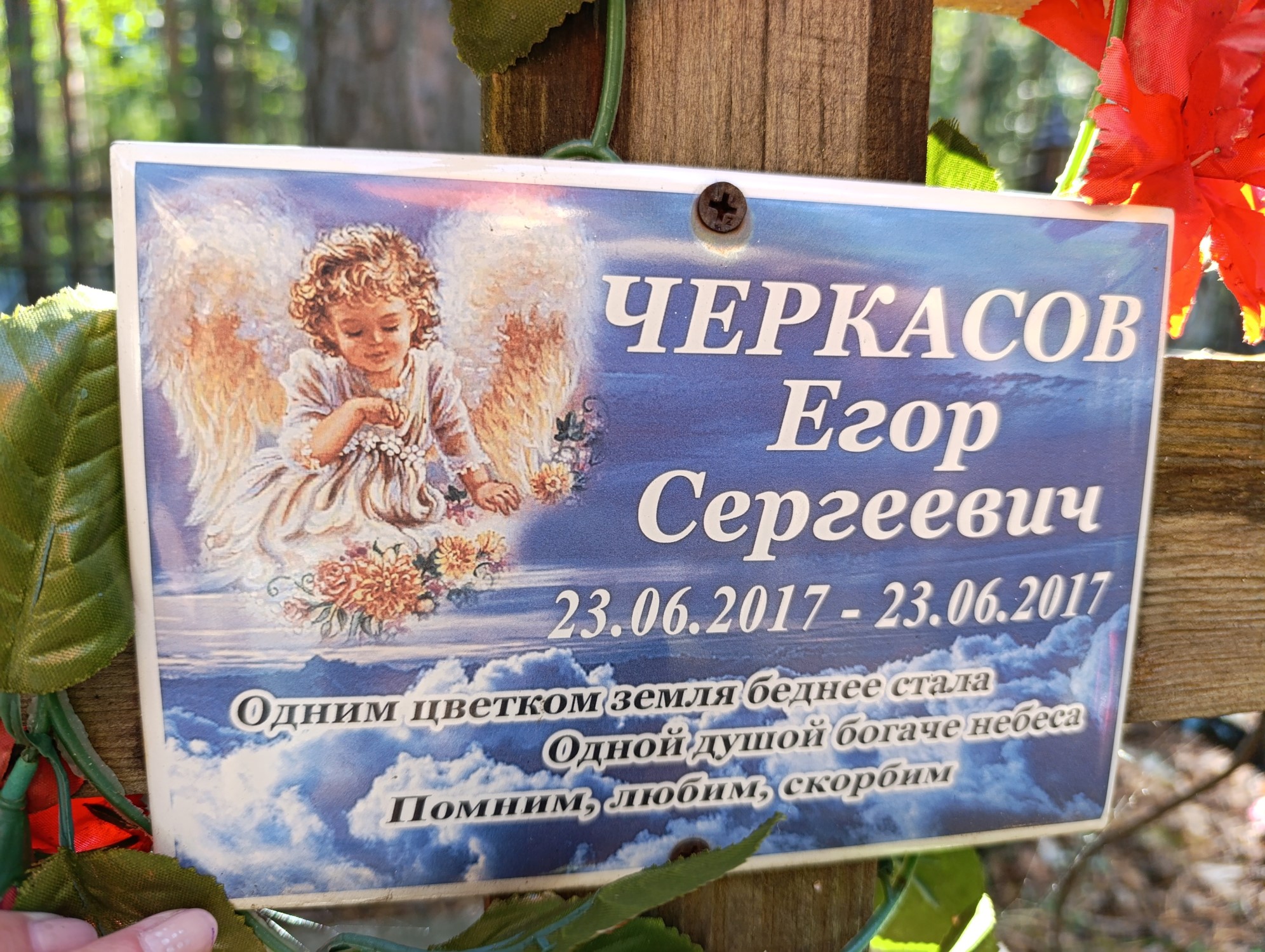 Черкасов Егор Сергеевич