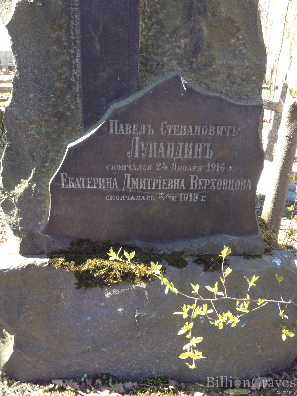 Верховцова Екатерина Дмитриевна