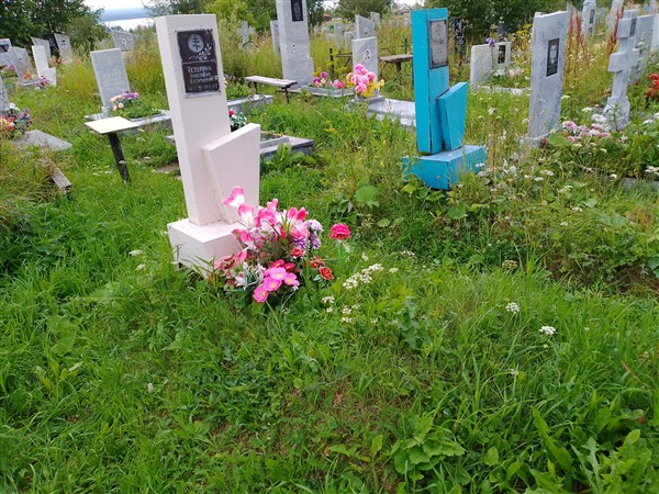 Тетерина Анастасия Васильевна
