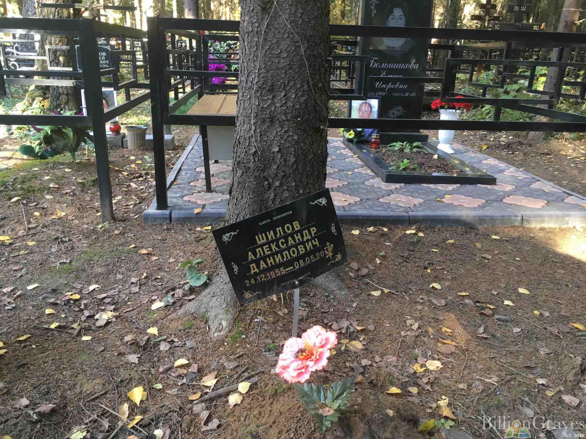 Шилов Александр Данилович