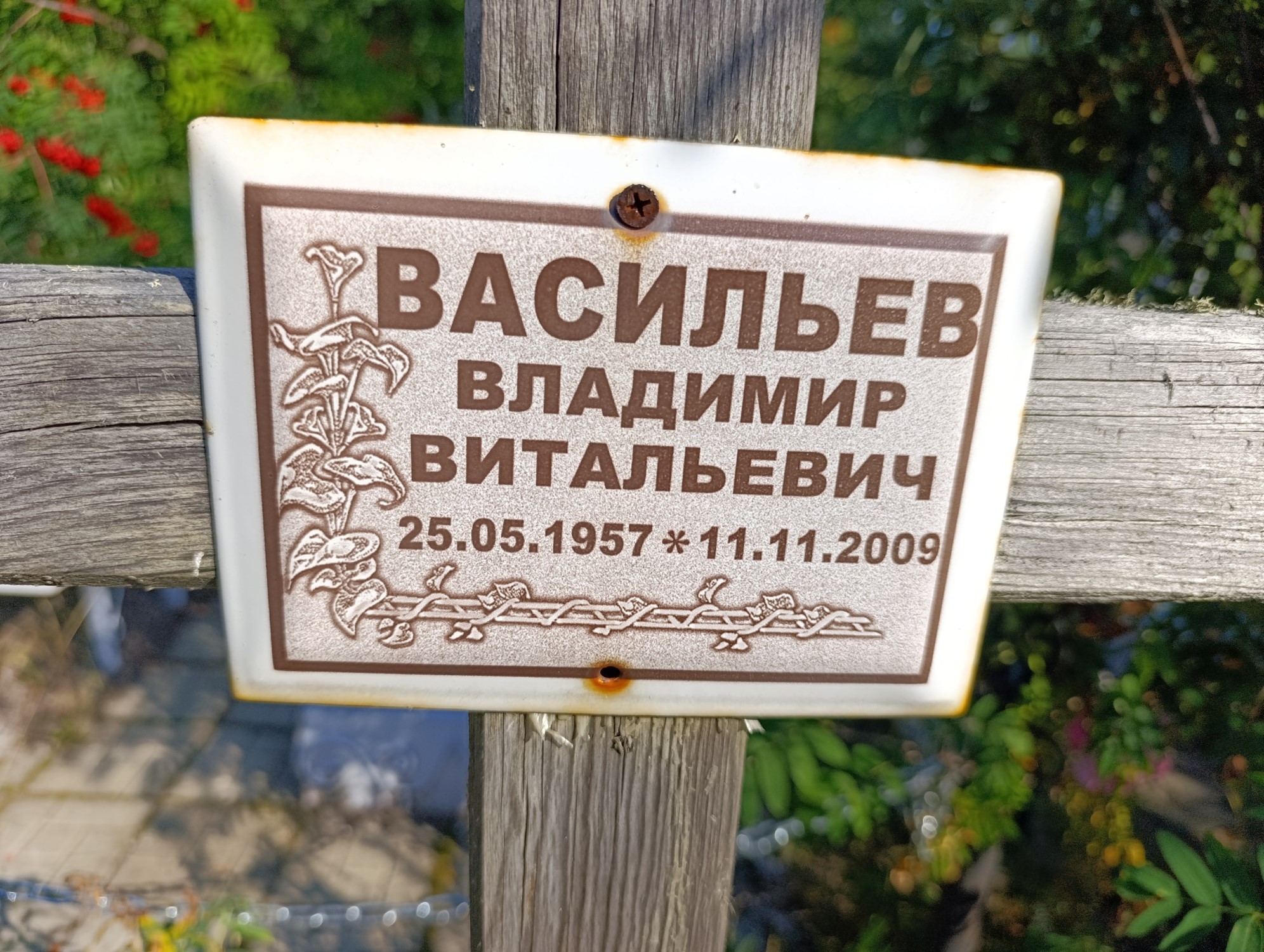 Васильев Владимир Витальевич