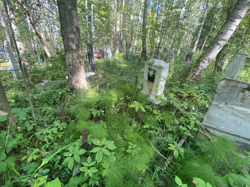 Кабанова Софья Павловна