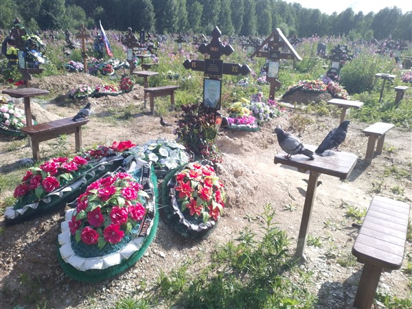 Довжан Александр Антонинович